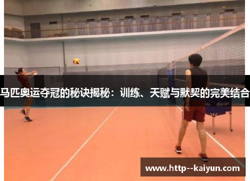 马匹奥运夺冠的秘诀揭秘:训练、天赋与默契的完美结合 马匹奥运夺冠的秘诀揭秘:训练、天赋与默契的完美结合