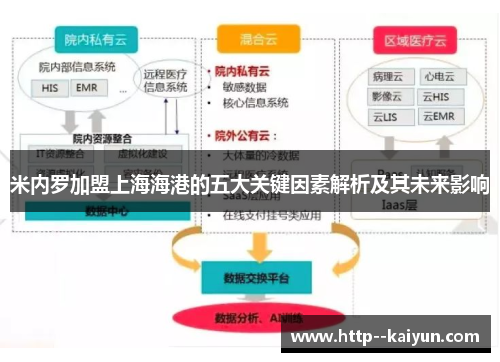 米内罗加盟上海海港的五大关键因素解析及其未来影响 米内罗加盟上海海港的五大关键因素解析及其未来影响