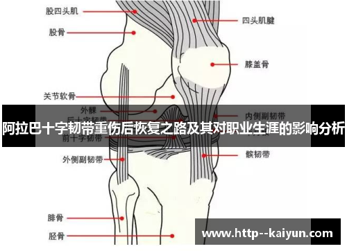 阿拉巴十字韧带重伤后恢复之路及其对职业生涯的影响分析 阿拉巴十字韧带重伤后恢复之路及其对职业生涯的影响分析